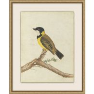 Birds Of Autumn 1 17.13W X 21.13H