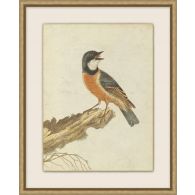 Birds Of Autumn 3 17.13W X 21.13H