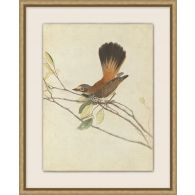 Birds Of Autumn 4 17.13W X 21.13H