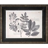 Vintage Folia V 22W x 18H