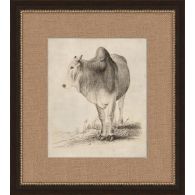 Antique Cow 17W x 19H