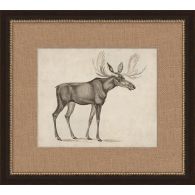 Antique Moose 19W x 17H