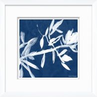 Cyanotype Blues VI 15W x 15H