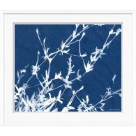 Cyanotype Blues X 28W x 24H