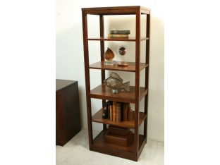 Contemporary Bookcase