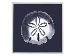White on Navy Sea Elements III 25W x 25H