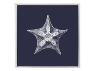 White on Navy Sea Elements V 25W x 25H