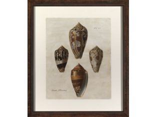 Knier Crackled Shells II 26W x 30H