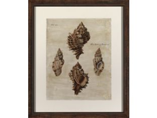 Knier Crackled Shells IV 26W x 30H