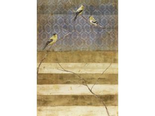 Arie VII 16W x 22H