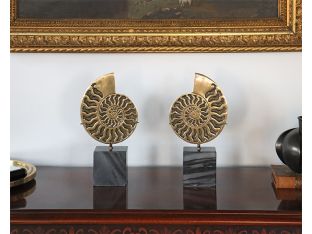 Brass Fossil Objects Set Of 2 - Cleared
