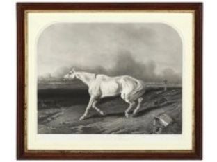 Antique French Horse Engraving 18th c. La Guerre 26.5W x 31H