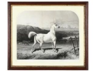 Antique French Horse Engraving 18th c. La Paix 26.5W x 31H