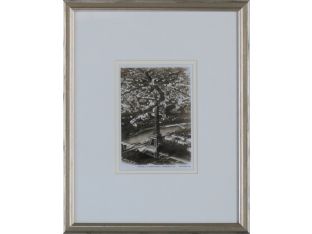 Paris - La Tour Eiffel Perspective 12W x 15H