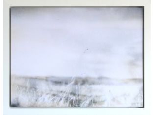 Warm Meadow II 36W x 28H