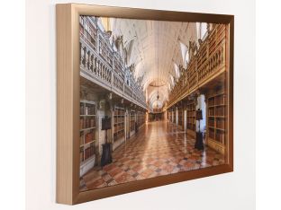 Mafra Library I 36W X 24H