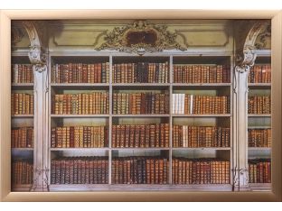 Mafra Library II 36W X 24H