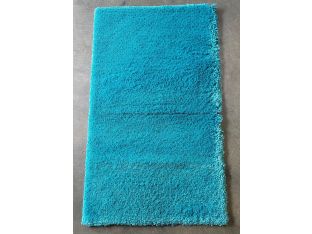 2'9" X 4'7" Teal Shag Rug
