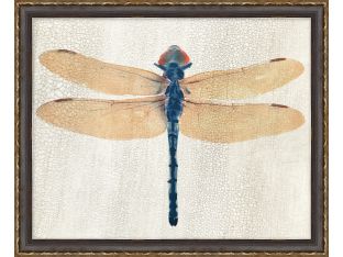 Dragonfly 1 22W X 18H