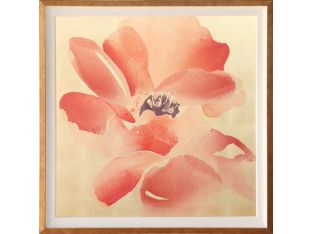 Himalayan Poppy 2 41.25W x 41.25H