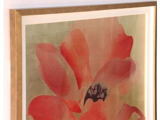Himalayan Poppy 2 41.25W x 41.25H