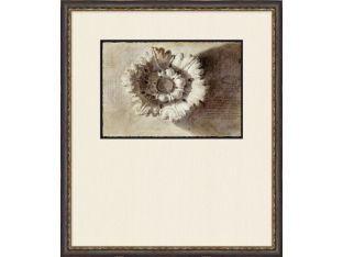 Architectural Adornment 9 25W x 29H