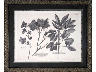 Vintage Folia VI 22W x 18H