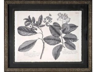 Vintage Folia IV 22W x 18H
