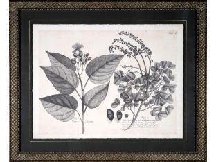 Vintage Folia III 22W x 18H