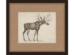 Antique Moose 19W x 17H