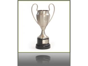Tall Handled Trophy 